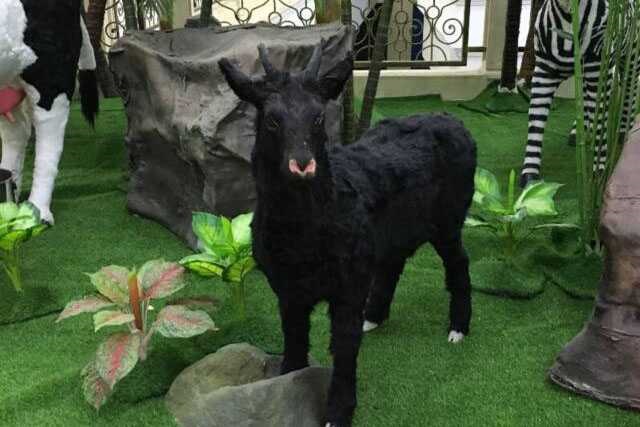 Animatronic Animal Model 04 by Alive Dinosaur for animatronic animals projects detail view
