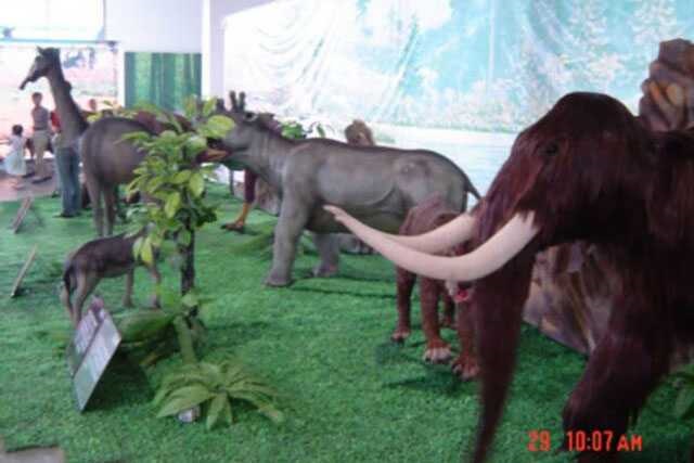 Animatronic Animal Model 11 by Alive Dinosaur for animatronic animals projects detail view