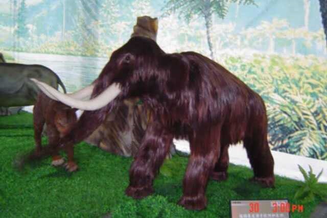 Animatronic Animal Model 11 by Alive Dinosaur for animatronic animals projects