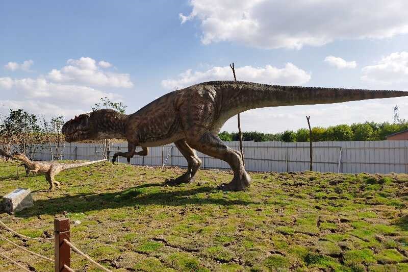 Animatronic Dinosaur Model 09 by Alive Dinosaur for animatronic dinosaurs projects