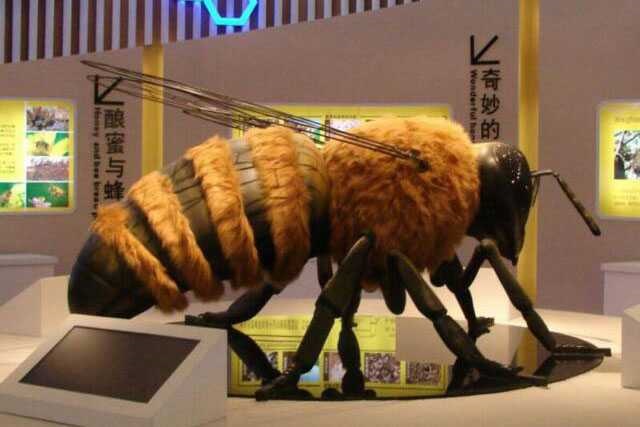 Animatronic Insect Model 01 by Alive Dinosaur for animatronic insects projects detail view