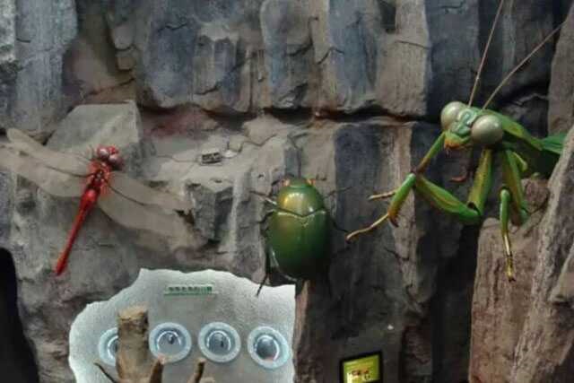 Animatronic Insect Model 03 by Alive Dinosaur for animatronic insects projects detail view