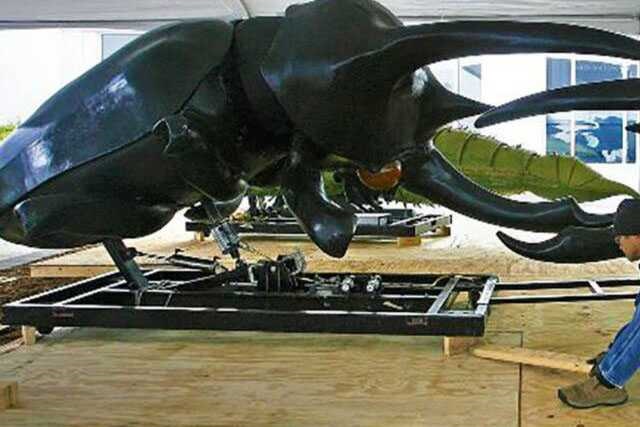 Animatronic Insect Model 05 by Alive Dinosaur for animatronic insects projects detail view