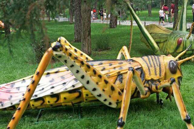 Animatronic Insect Model 06 by Alive Dinosaur for animatronic insects projects