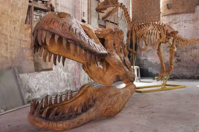 Dinosaur Skeleton / Fossil Model 03 by Alive Dinosaur for dinosaur skeletons / fossils projects