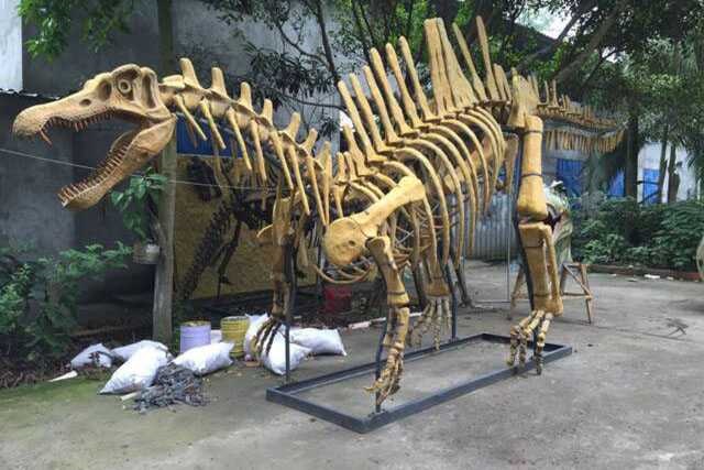Dinosaur Skeleton / Fossil Model 09 by Alive Dinosaur for dinosaur skeletons / fossils projects