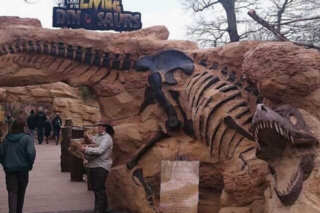 Dinosaur Skeleton / Fossil Model 11 by Alive Dinosaur for dinosaur skeletons / fossils projects