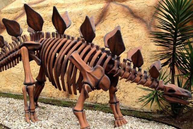 Dinosaur Skeleton / Fossil Model 12 by Alive Dinosaur for dinosaur skeletons / fossils projects detail view