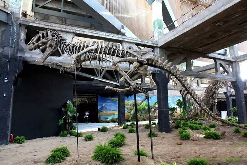 Dinosaur Skeleton / Fossil Model 12 by Alive Dinosaur for dinosaur skeletons / fossils projects detail view