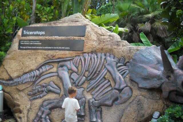 Dinosaur Skeleton / Fossil Model 14 by Alive Dinosaur for dinosaur skeletons / fossils projects detail view
