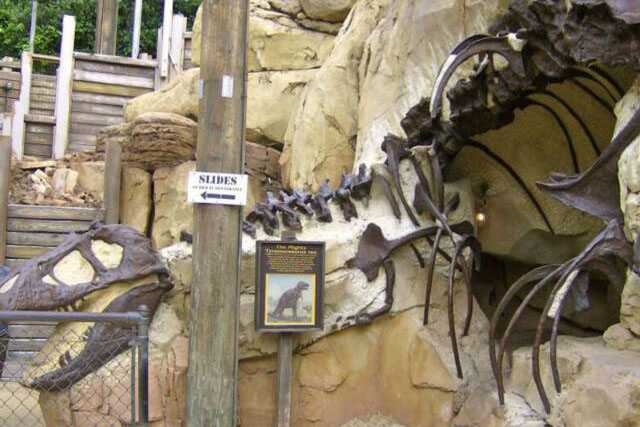 Dinosaur Skeleton / Fossil Model 14 by Alive Dinosaur for dinosaur skeletons / fossils projects detail view