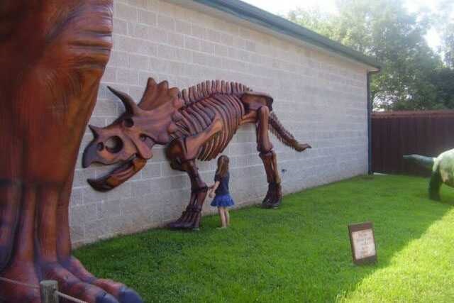 Dinosaur Skeleton / Fossil Model 14 by Alive Dinosaur for dinosaur skeletons / fossils projects detail view